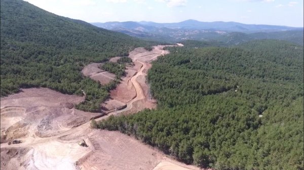 Kaz Dağı'ndaki altın madeni için yapılan ağaç katliamı