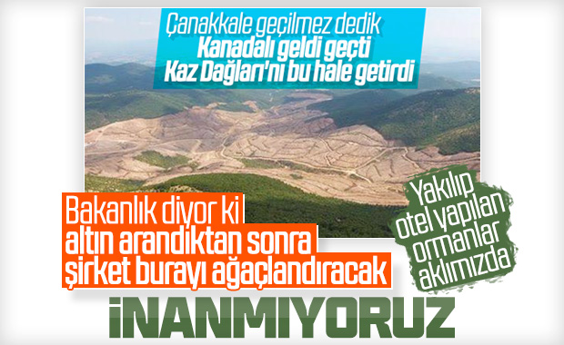 Kaz Dağları'ndaki ağaç kesimi için Bakanlık açıklama yaptı