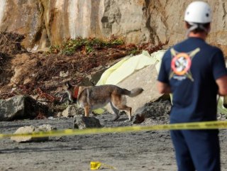 Kaliforniya'da uçurum çöktü: 3 ölü