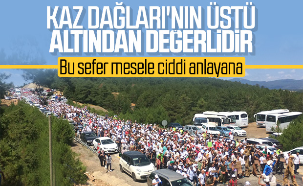 Kaz Dağları'nda ağaç katliamına karşı eylem