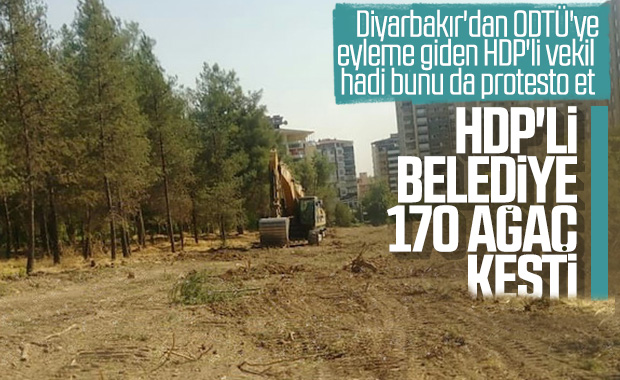 HDP'li Batman Belediyesi 170 ağacı katletti