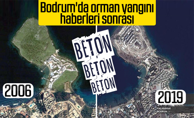 Bodrum'da ormanlık alanda yangın