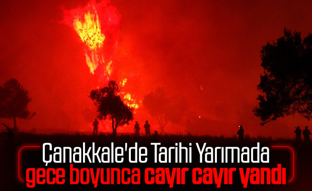 Tarihi Gelibolu yarımadasında orman yangını