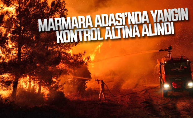 Marmara Adası'nda orman yangını