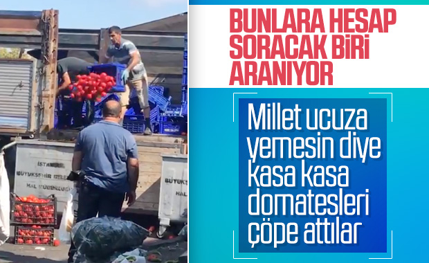 İstanbul'da hal pazarında çöpe atılan domatesler