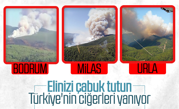 Farklı noktalarda üst üste orman yangınları