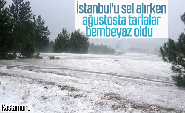 Kastamonu'da tarım arazileri, ağustosta kar altında