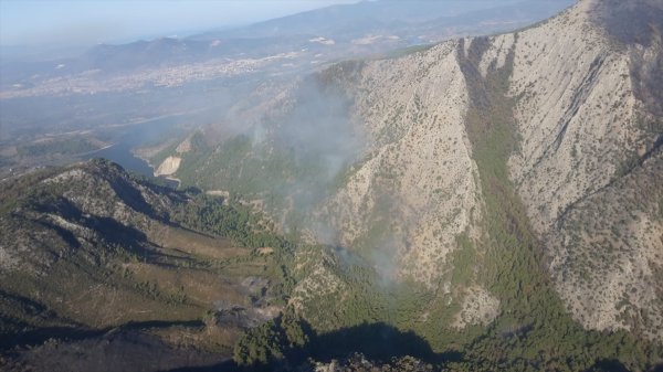 İzmir'de 500 hektar orman yandı