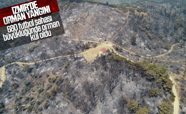 İzmir'de 500 hektar orman yandı