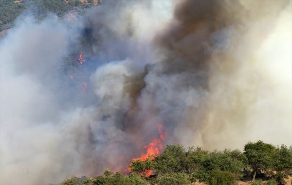 İzmir'de 500 hektar orman yandı