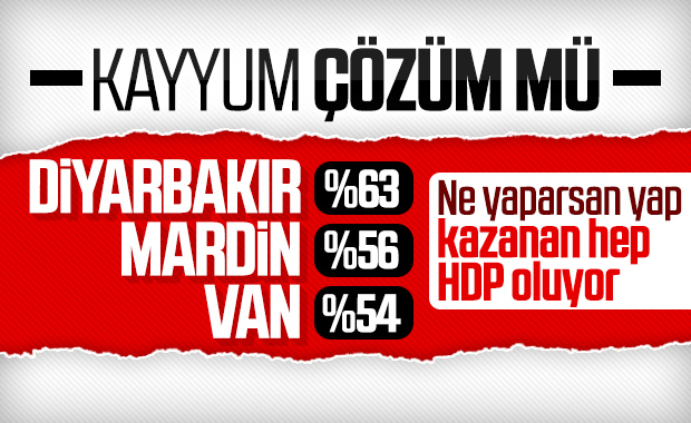 Kayyumun hizmetlerine rağmen yine HDP seçildi