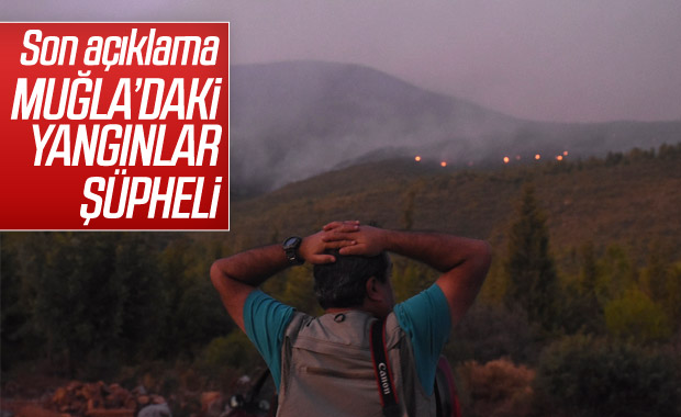 Bodrum ve Milas'taki yangınlarda kundaklama şüphesi