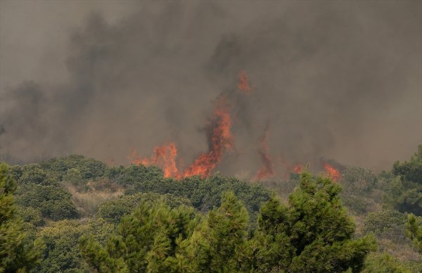 İzmir'de 500 hektar orman yandı
