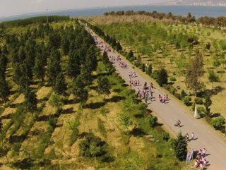 İzmir'de yanan orman alanları için özel kampanya 