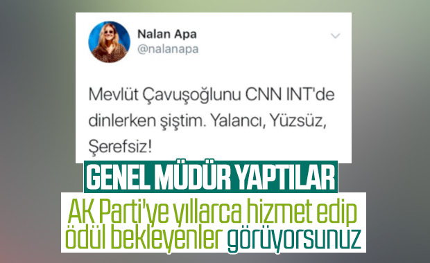 Nalan Apa'nın tepki çeken paylaşımları