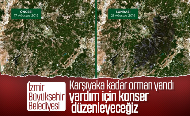İzmir'de belediyeye göre 5 bin hektar alan kül oldu