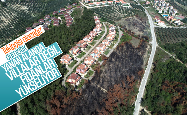 Bursa'da geçtiğimiz yıl yanan orman yeniden ağaçlandırıldı