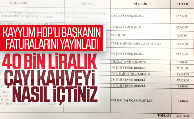 HDP'li Ahmet Türk'ün dudak uçuklatan harcamaları