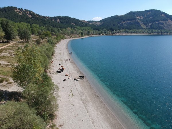 Golcuk Tabiat Parki Nda Sasirtan Goruntu