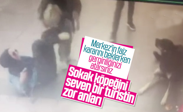 Beyoğlu'nda köpek tarafından ısırılan turist