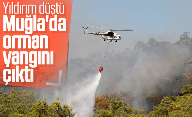 Muğla'da orman yangını kontrol altına alındı