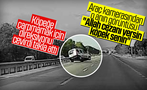 Köpeği ezmemek için manevra yapınca takla attı