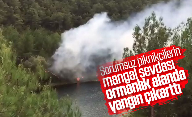 Bafra'da piknikçiler orman yangınına sebep oldu