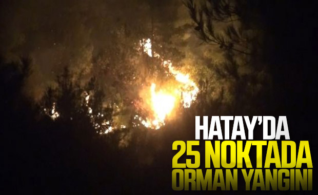 Hatay’da 25 farklı noktada orman yangını