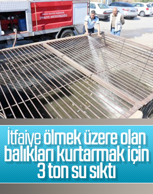 Edirne'de ölmek üzere olan balıkları itfaiye kurtardı