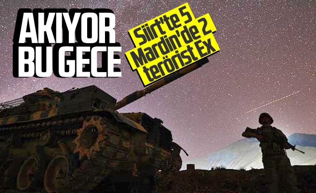 Siirt'te 5, Mardin'de 2 terörist etkisiz hale getirildi