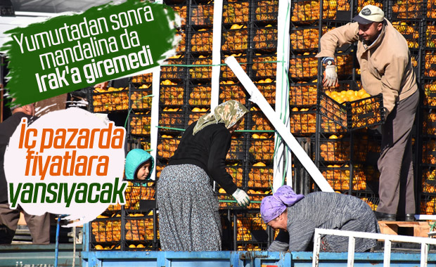 Irak'a mandalina ihracatı da durdu