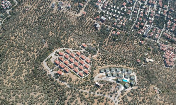 Kaz Dağları'na villa yapmak için kesilen zeytin ağaçları