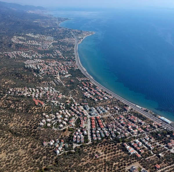 Kaz Dağları'na villa yapmak için kesilen zeytin ağaçları