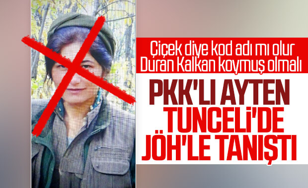 Tunceli'de 2 terörist öldürüldü