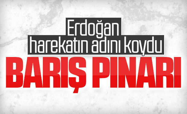 Cumhurbaşkanı Erdoğan: Harekat başladı