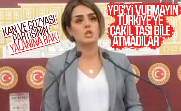 HDP, Barış Pınarı Harekatı yalanlarına devam ediyor