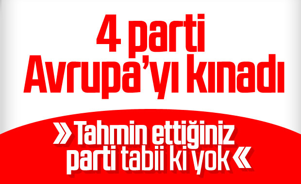 Meclis'te 4 parti, Avrupa'yı kınadı