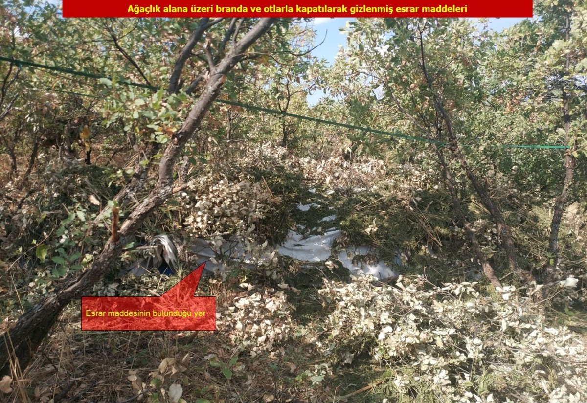 Diyarbakır'da 4 ton esrar ele geçirildi