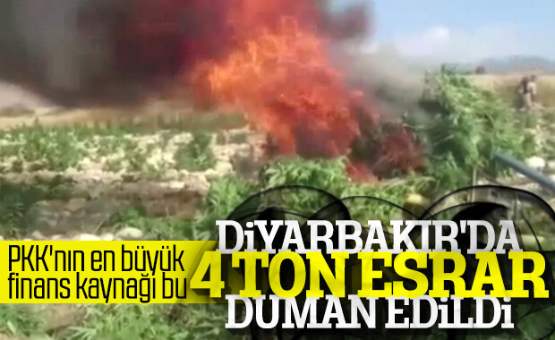 Diyarbakır'da 4 ton esrar ele geçirildi 