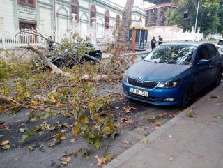 Beşiktaş'ta ağaçtan kopan dallar trafiği kapattı