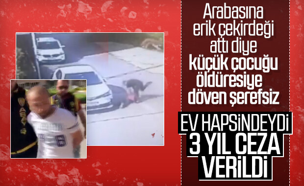 Tuzla'da aracına erik atan çocuğu darbeden şahsın cezası açıklandı