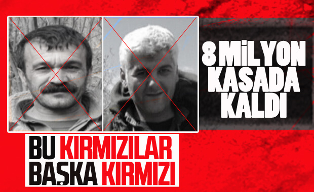 Diyarbakır'da kırmızı listede aranan 2 terörist öldürüldü