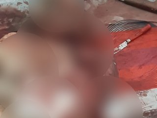 Babasını uykusunda bıçaklayarak öldürdü