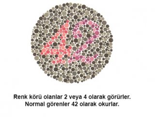 Renk körü olanların polis olamayacağı kesinleşti #1