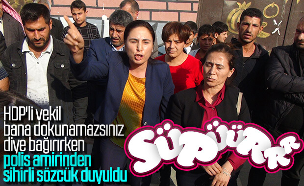 Şanlıurfa'da HDP'liler yine olay çıkardı
