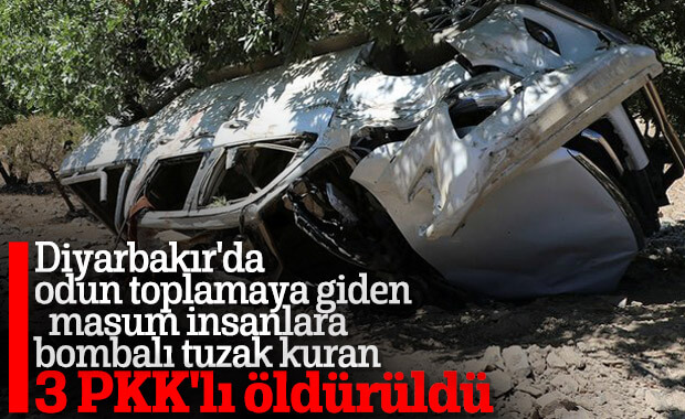 Kulp'taki EYP saldırısının failleri öldürüldü