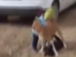 Kahramanmaraş'ta küçük çocuğun köpeğini koruduğu anlar #1