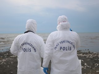 Van Gölü'nde sular çekilince insan kemikleri ortaya çıktı #1