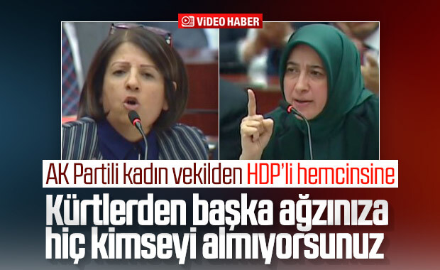 AK Partili ve HDP'li kadın vekillerin tecavüzcü polemiği