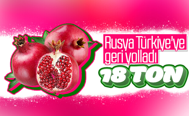 Rusya, Türkiye'den aldığı 18 ton narı yolladı